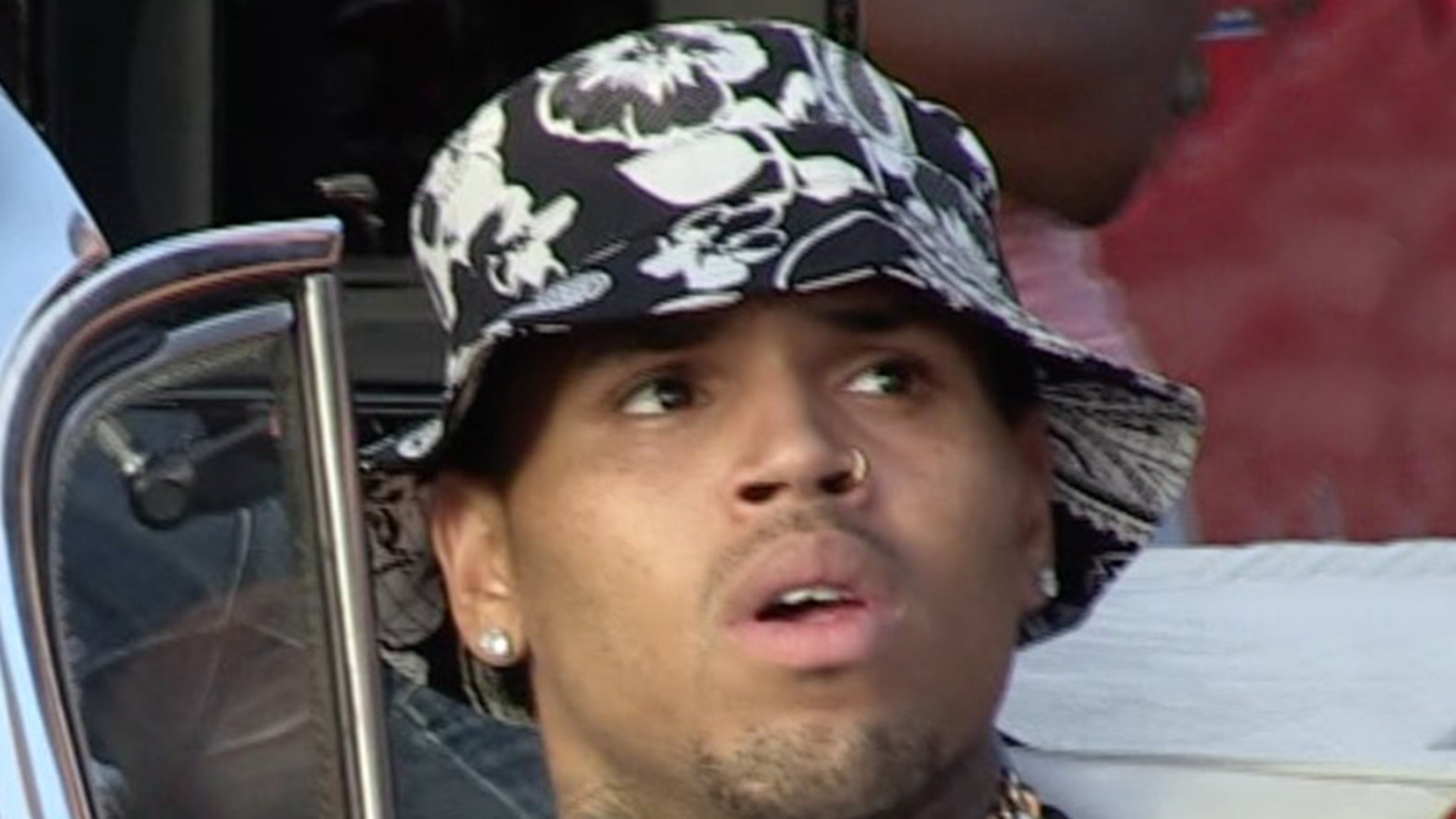 Chris Brown verklagt – Hund beißt Putzfrau schwer