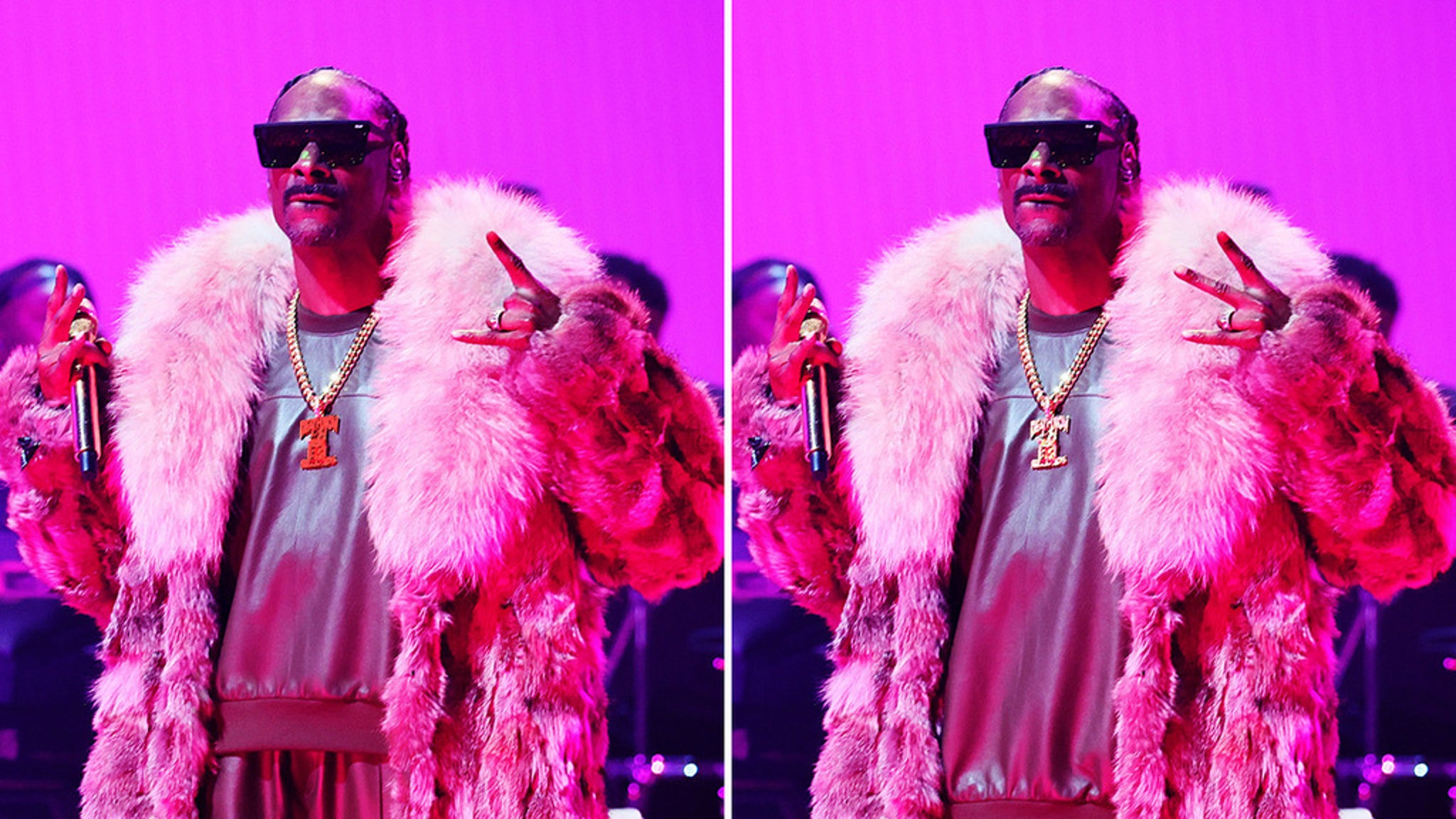 Snoop Dogg moderiert MTV VMAs – Finde die versteckten Switches